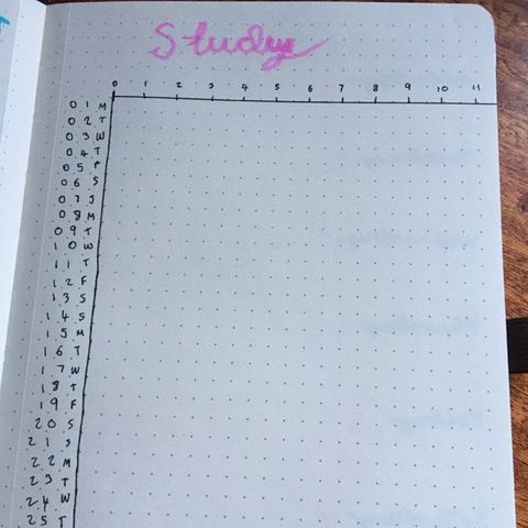 This is the study tracker that I have drawn out for this month.