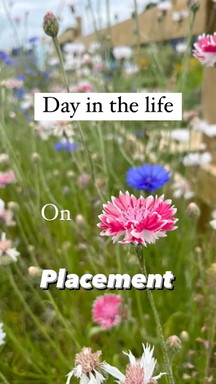 Day in the life on placement 👩‍🌾

-
Rough run down of what I did on one day, though each day was different which I loved 🌱
-
#fouracrefarm #dayinthelife #placementdays #envscistudent #unistudent #environmentalscience #bournemouthblogger #dorsetbloggers #dorsetblogger #wildlifeblogger #ecoblogger #nodigfarm