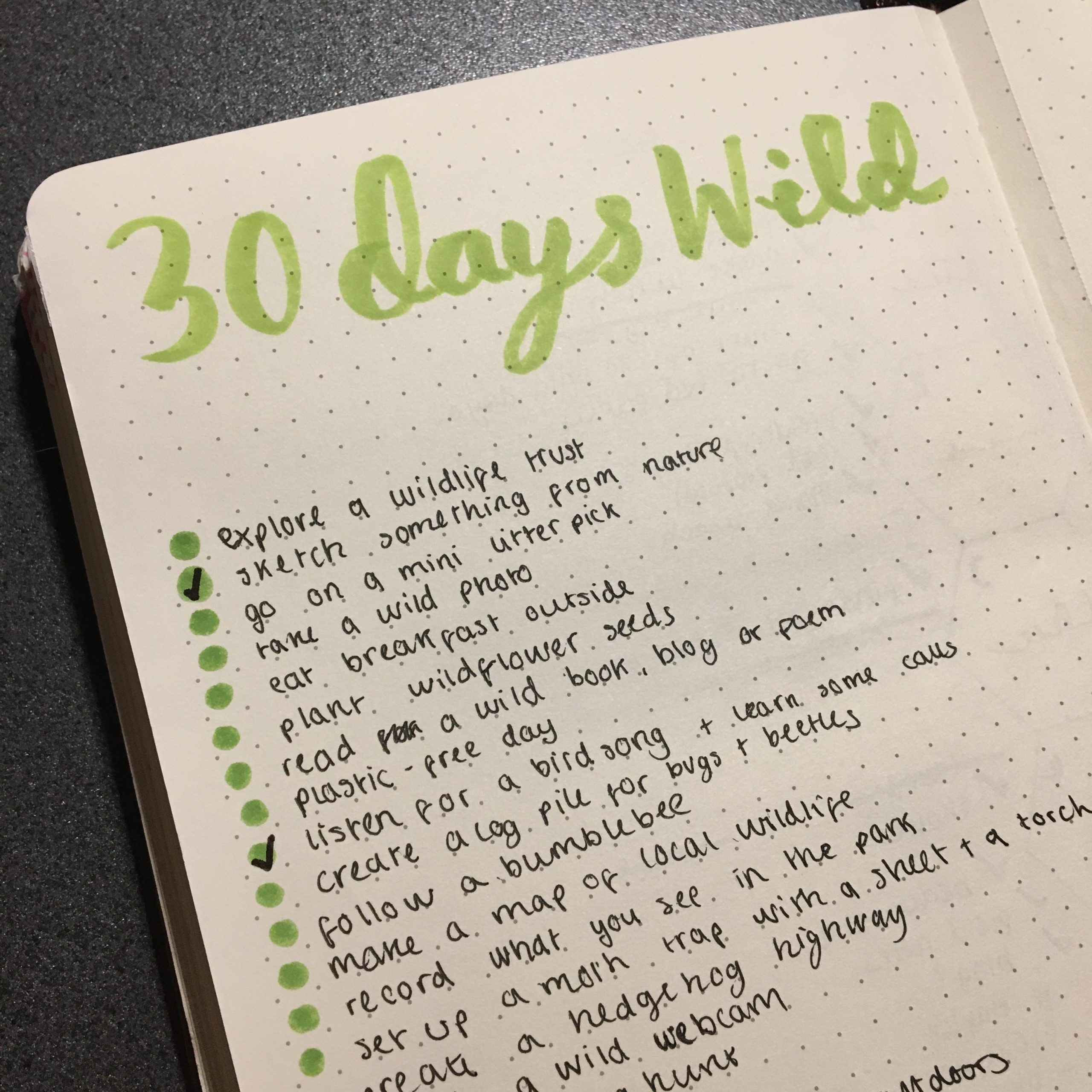 30 days wild challenge 