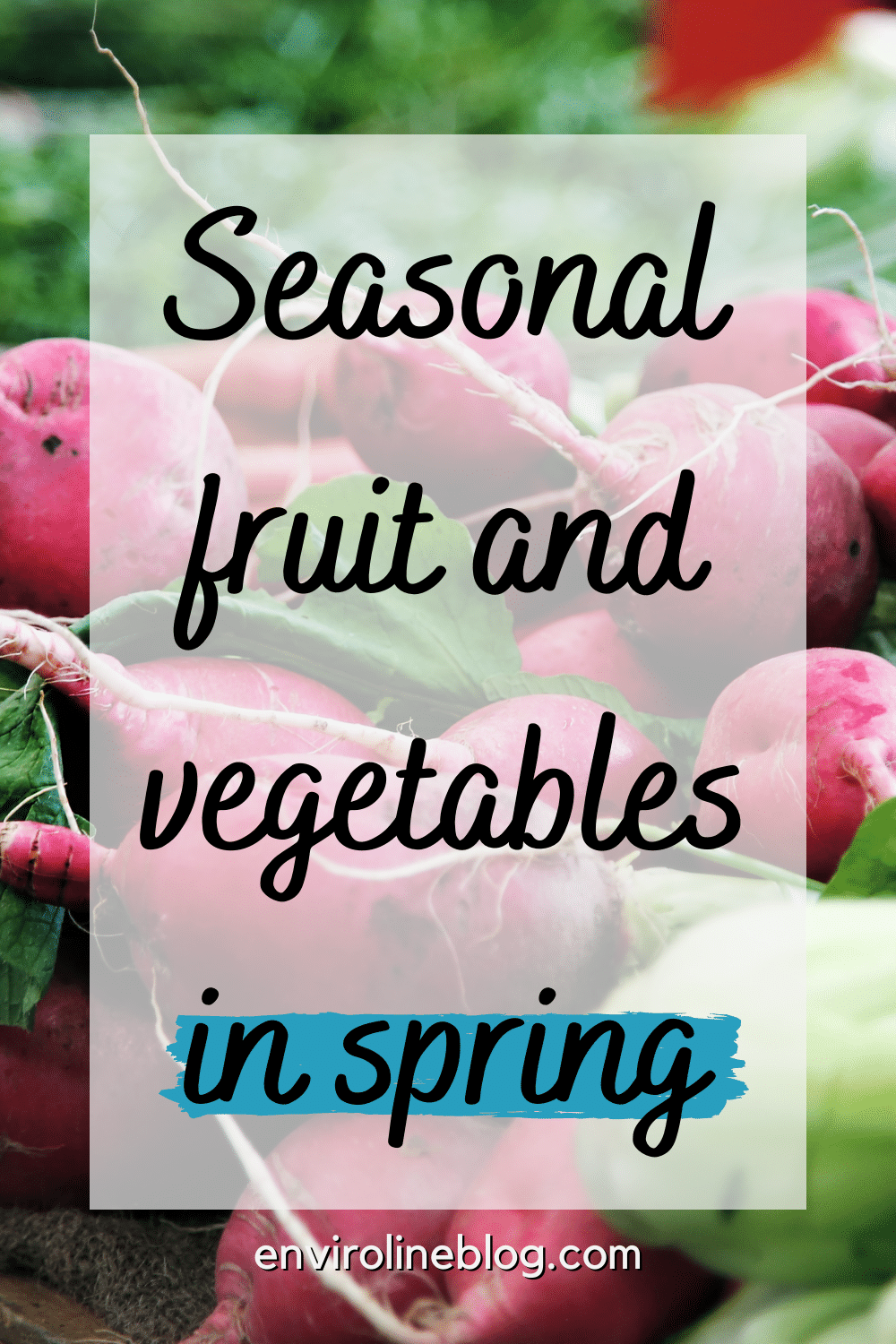 UK Seasonal fruit and vegetables in spring Enviroline Blog